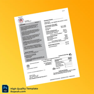 USA Austin Energy Editable Utility Bill Template in Word and PDF formats 3 page
