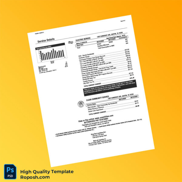 USA Austin Energy Editable Utility Bill Template in Word and PDF formats 3 page