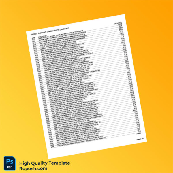 USA BBT Bank Statement Template in Word and PDF formats 5 page