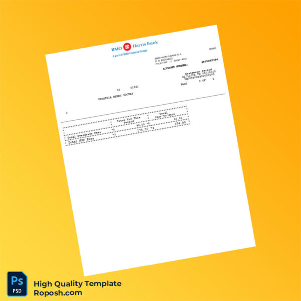USA BMO Harris Bank Statement Template in Word and PDF formats 4 page