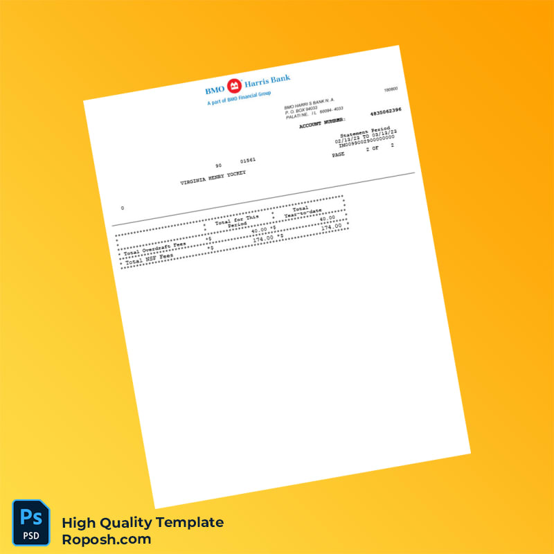 USA BMO Harris Bank Statement Template in Word and PDF formats 4 page USA BMO Harris Bank Statement Template in Word and PDF formats 4 page