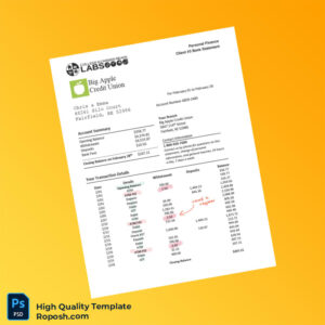 USA Big Apple Credit Union Bank Statement Template in Word and PDF formats