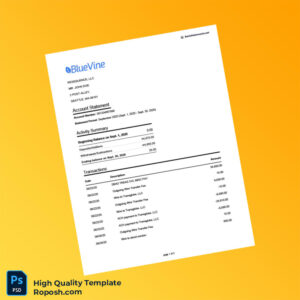 USA Bluevine Bank Statement Template in Word and PDF formats 2 page