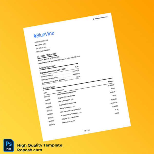 USA Bluevine Bank Statement Template in Word and PDF formats 2 page