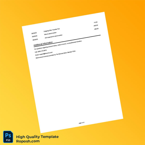 USA Bluevine Bank Statement Template in Word and PDF formats 2 page