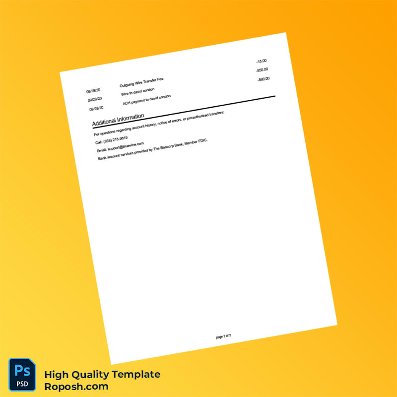 USA Bluevine Bank Statement Template in Word and PDF formats 2 page USA Bluevine Bank Statement Template in Word and PDF formats 2 page
