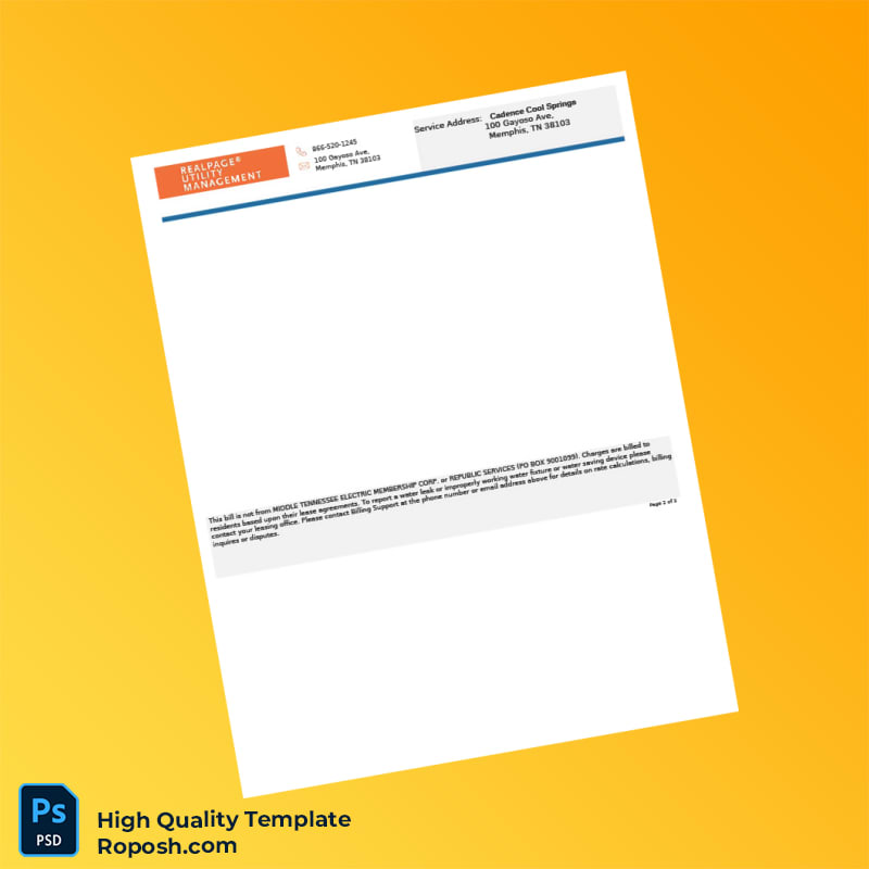 USA Cadence Cool Springs Editable Billing Statement Template in Word and PDF formats 3 page USA Cadence Cool Springs Editable Billing Statement Template in Word and PDF formats 3 page