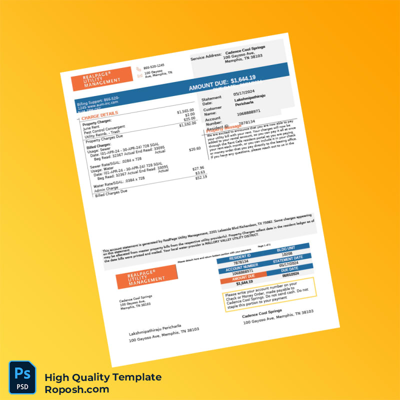 USA Cadence Cool Springs Editable Billing Statement Template in Word and PDF formats 3 page USA Cadence Cool Springs Editable Billing Statement Template in Word and PDF formats 3 page