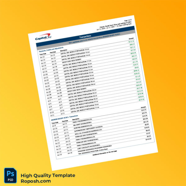 USA Capital One Billing Bank Statement Template in Word and PDF formats 6 page