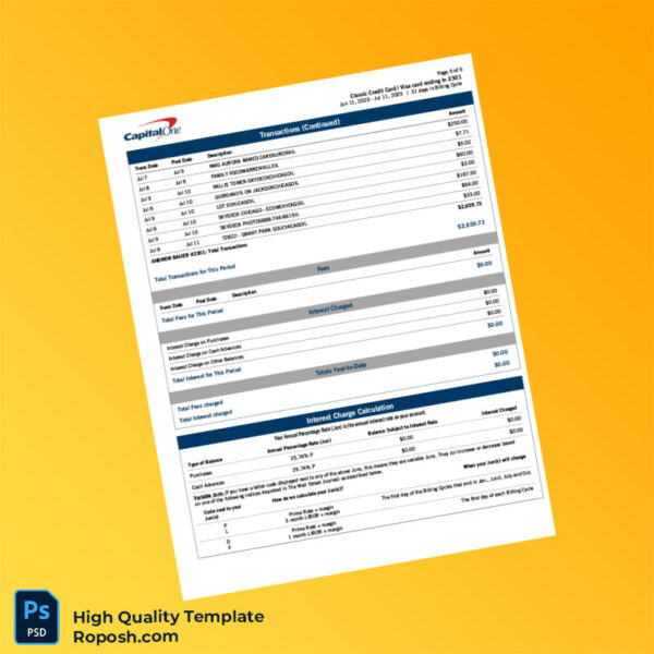 USA Capital One Billing Bank Statement Template in Word and PDF formats 6 page
