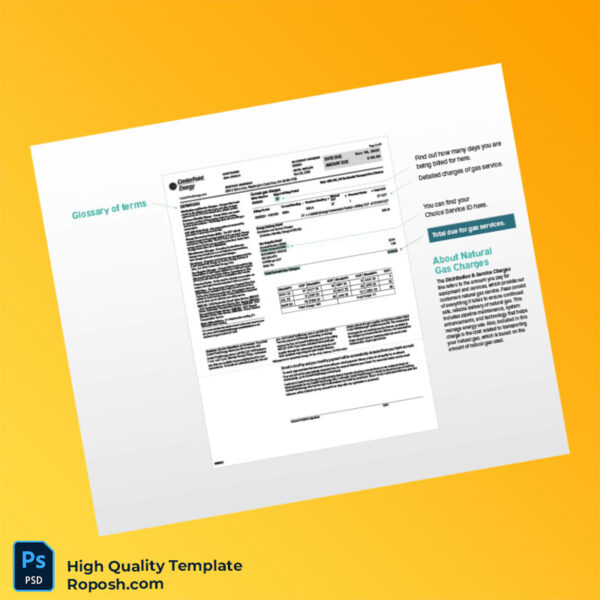 USA CenterPoint Energy Editable Gas Bill Template in Word and PDF formats 3 page