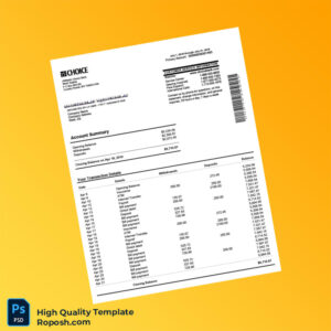 USA Choice Bank Statement Template in Word and PDF formats