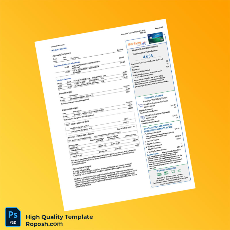 USA Citi Bank Statement Template in Word and PDF formats 3 page USA Citi Bank Statement Template in Word and PDF formats 3 page