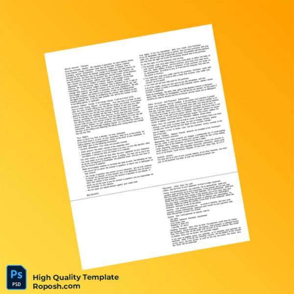 USA Citi Bank Statement Template in Word and PDF formats 3 page