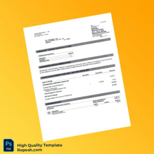 USA Citibank Account Statement Template in Word and PDF formats 2 page