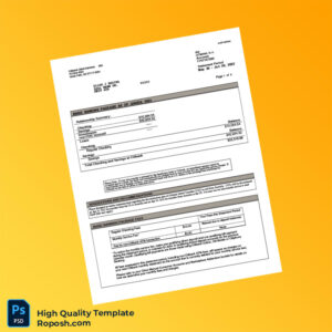 USA Citibank Bank Statement Template in Word and PDF formats 4 page