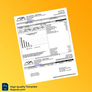 USA City of Buckeye Editable Utility Bill Template in Word and PDF formats