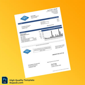 USA City of Casper Editable Water Bill Template in Word and PDF formats