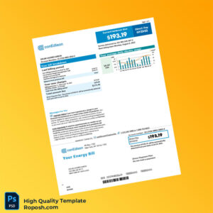 USA Con Edison Editable Electricity Bill Template in Word and PDF formats 2 page USA Con Edison Editable Electricity Bill Template in Word and PDF formats 2 page