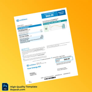 USA ConEdison Editable Energy Bill Template in Word and PDF formats 3 page