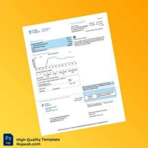 USA Duke Energy Editable Electric Bill Template in Word and PDF formats 3 page