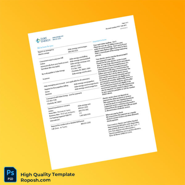 USA Duke Energy Editable Electric Bill Template in Word and PDF formats 3 page