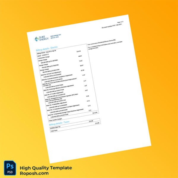 USA Duke Energy Editable Electric Bill Template in Word and PDF formats 3 page