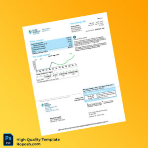 USA Duke Energy Editable Electricity Bill Template in Word and PDF formats 3 page