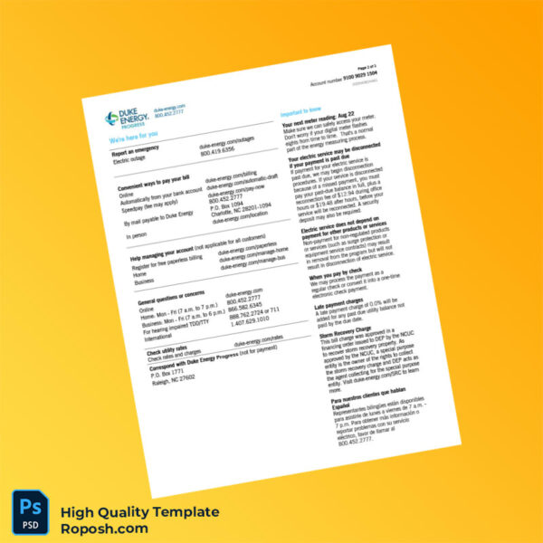 USA Duke Energy Editable Electricity Bill Template in Word and PDF formats 3 page