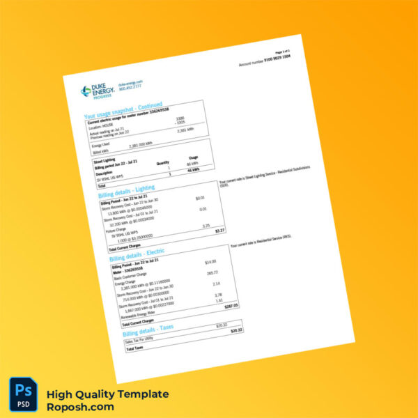 USA Duke Energy Editable Electricity Bill Template in Word and PDF formats 3 page