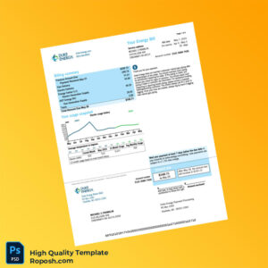 USA Duke Energy Editable Natural Gas Bill Template in Word and PDF formats 4 page