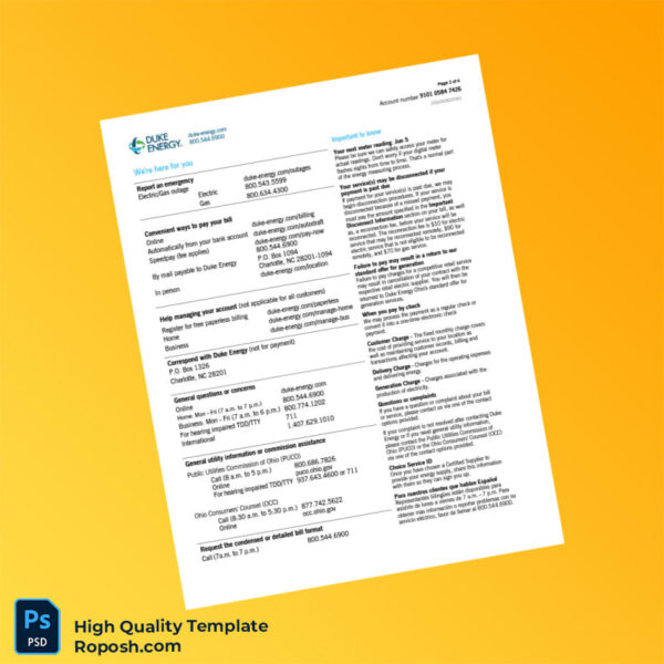 USA Duke Energy Editable Natural Gas Bill Template in Word and PDF formats 4 page