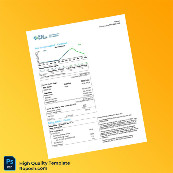 USA Duke Energy Editable Natural Gas Bill Template in Word and PDF formats 4 page