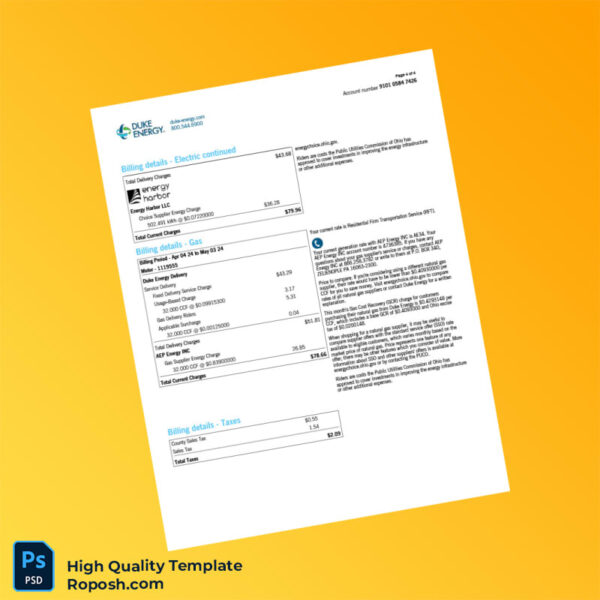 USA Duke Energy Editable Natural Gas Bill Template in Word and PDF formats 4 page