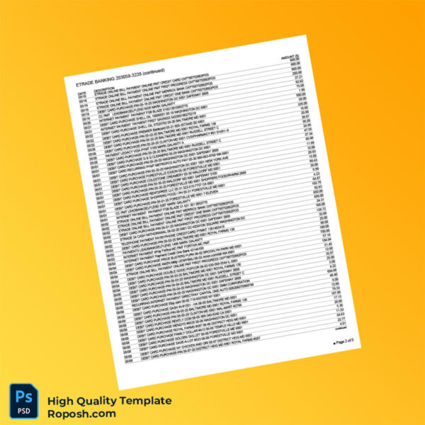 USA ETRADE Bank Statement Template in Word and PDF formats 5 page