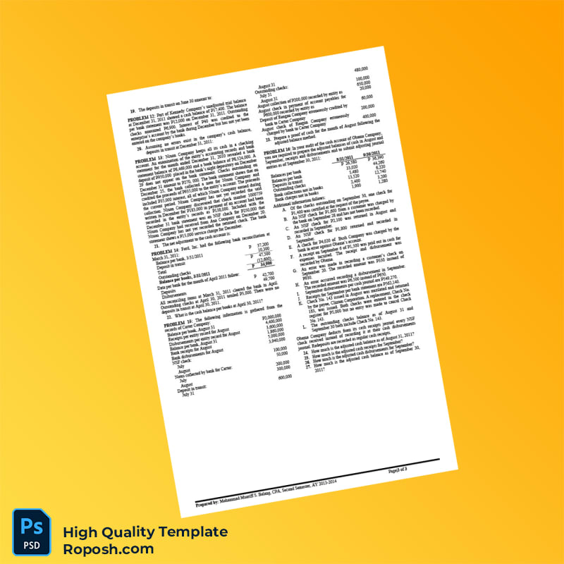 USA Editable Bank Reconciliation and Proof of Cash Template in Word and PDF formats 3 page USA Editable Bank Reconciliation and Proof of Cash Template in Word and PDF formats 3 page
