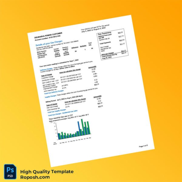 USA Editable Electric and Gas Bill Template in Word and PDF formats 5 page