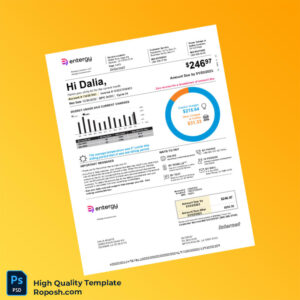 USA Entergy Editable Electricity Bill Template in Word and PDF formats 4 page