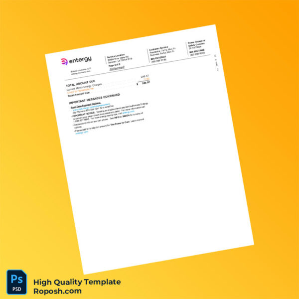 USA Entergy Editable Electricity Bill Template in Word and PDF formats 4 page