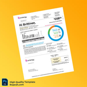 USA Entergy Editable Utility Bill Template in Word and PDF formats 4 page