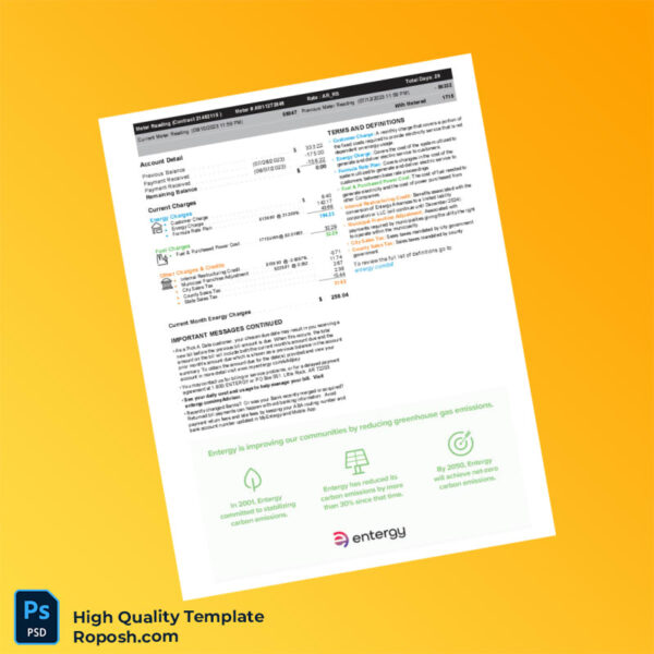 USA Entergy Editable Utility Bill Template in Word and PDF formats 4 page