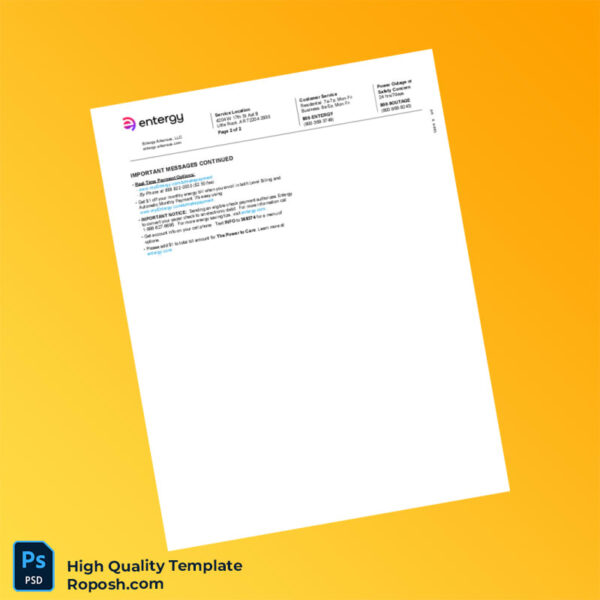 USA Entergy Editable Utility Bill Template in Word and PDF formats 4 page