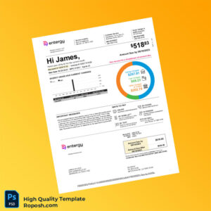 USA Entergy Louisiana Editable Electricity Bill Template in Word and PDF formats 2 page