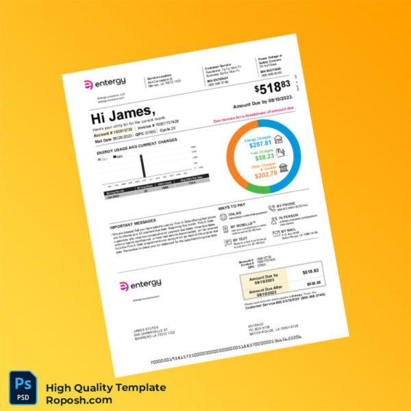 USA Entergy Louisiana Editable Electricity Bill Template in Word and PDF formats 2 page