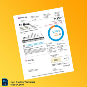 USA Entergy Louisiana Editable Utility Bill Template in Word and PDF formats 2 page