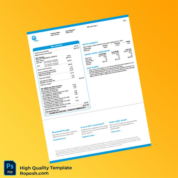 USA FPL Editable Electric Bill Template in Word and PDF formats 2 page