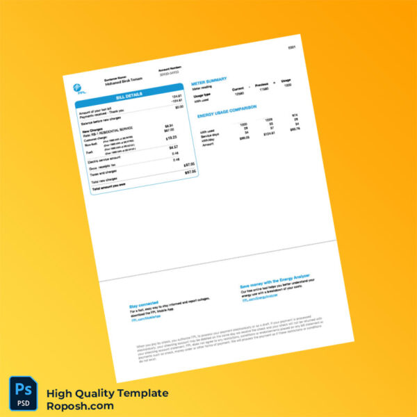 USA FPL Editable Utility Bill Template in Word and PDF formats 2 page