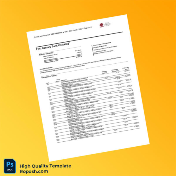 USA First Century Bank Combined Statement of Accounts Template in Word and PDF formats 4 page