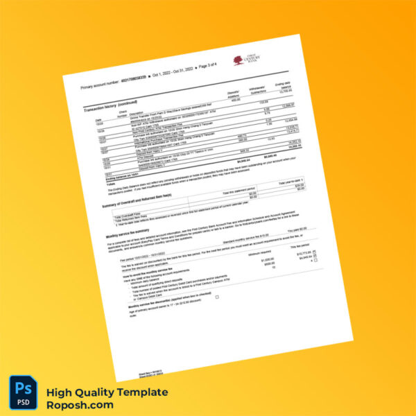 USA First Century Bank Combined Statement of Accounts Template in Word and PDF formats 4 page