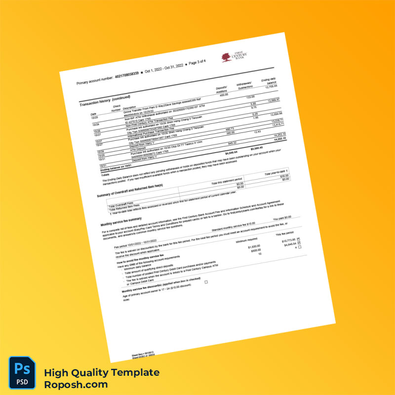 USA First Century Bank Combined Statement of Accounts Template in Word and PDF formats 4 page USA First Century Bank Combined Statement of Accounts Template in Word and PDF formats 4 page